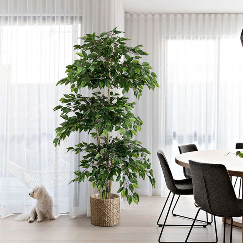 Dracaena Marginata - Ficus人工大型熱帯植物、プラスチック製の偽の葉、緑、本物のタッチ、バンジーの木、家庭、庭、部屋、店の装飾、70インチ