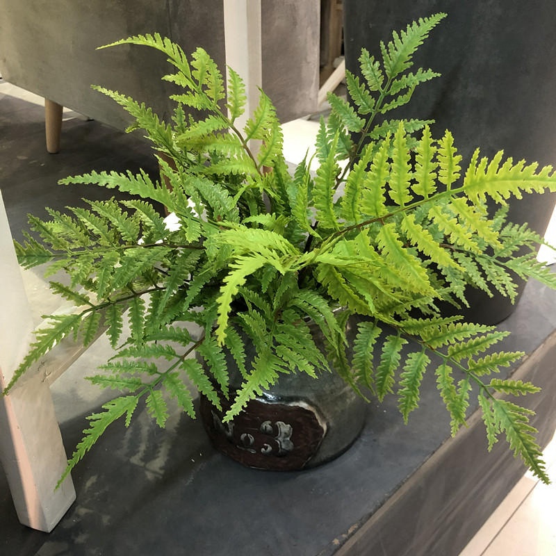 Dracaena Marginata - 1 個人工植物寝室パーティー家の装飾 7 枝 DIY フェイクグリーンペルシャシダの葉ホームデコアクセサリー