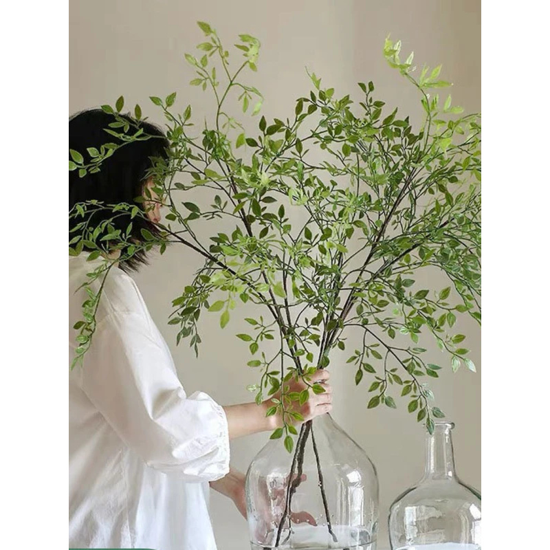 Dracaena Marginata - 人工のシングルブランチ3つの人工グリーン植物、模擬フォルシシア付き、フォレストスタイル、家庭やホテルの装飾用