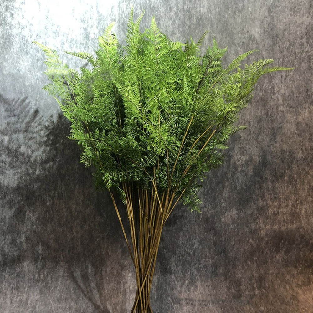 リアルな人工シダの枝、本物のような手触り、手作りの人工緑葉、 - Dracaena Marginata のレビューと価格