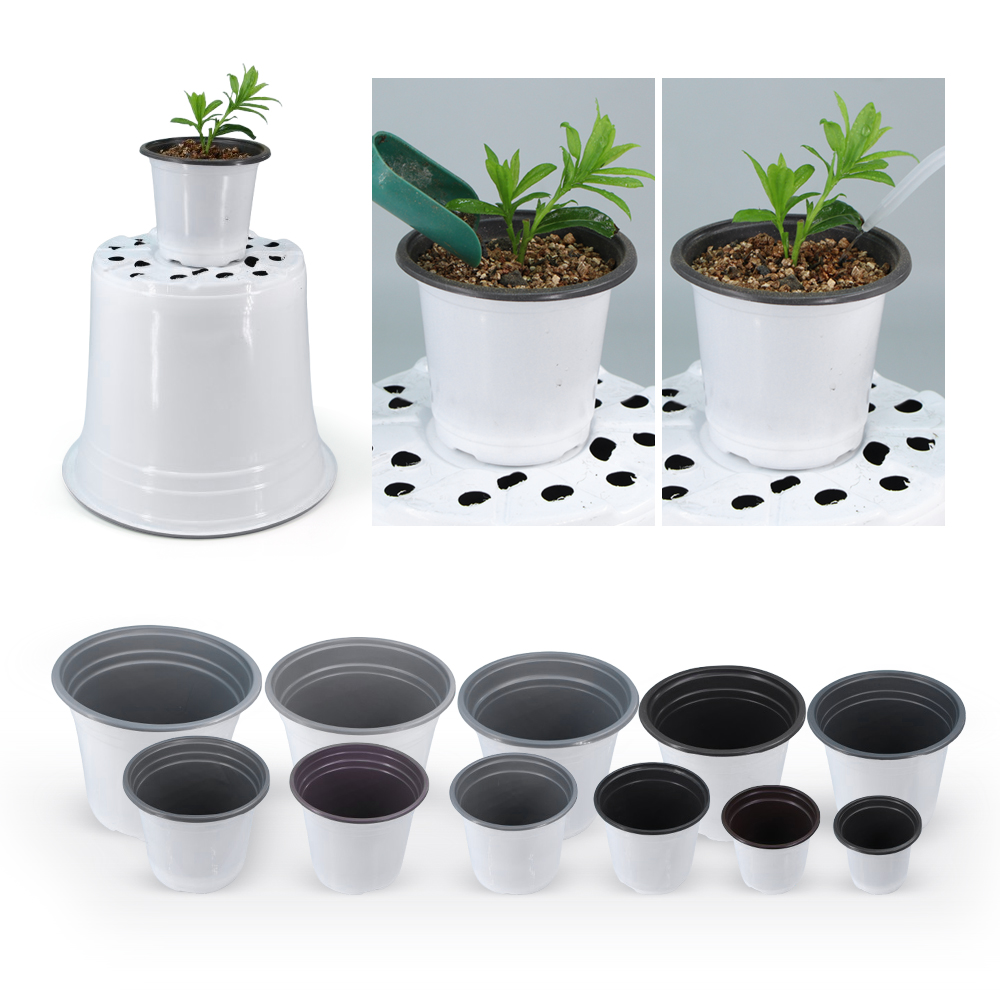 ガーデンホワイトプラスチック植木鉢栽培用多肉植物ポット通気性 - Echeveria Succulent のレビューと価格